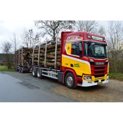 SCANIA SERIE R PORTEUR REMORQUE TRANSPORT DE BOIS
