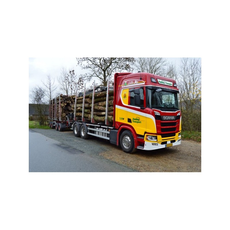 SCANIA SERIE R PORTEUR REMORQUE TRANSPORT DE BOIS