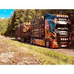 SCANIA PORTEUR REMORQUE PORTE BOIS