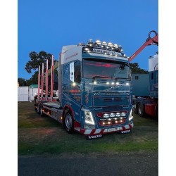 VOLVO FH 04 PORTEUR REMORQUE TRANSPORT DE BOIS