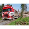 SCANIA R 650 PORTEUR REMORQUE GRUMIER