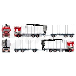 SCANIA R 650 PORTEUR REMORQUE GRUMIER