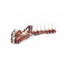 Scania Next Gen R-serie Highline porteur remorque grumier